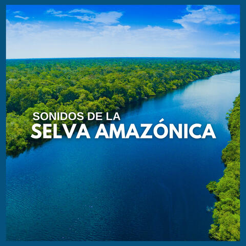 Sonidos de la Selva Amazónica