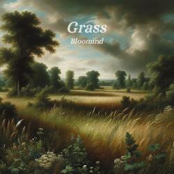 Grass