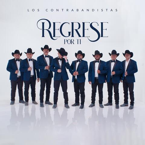Regresé por ti