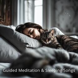Peace and Quiet Soundscapes