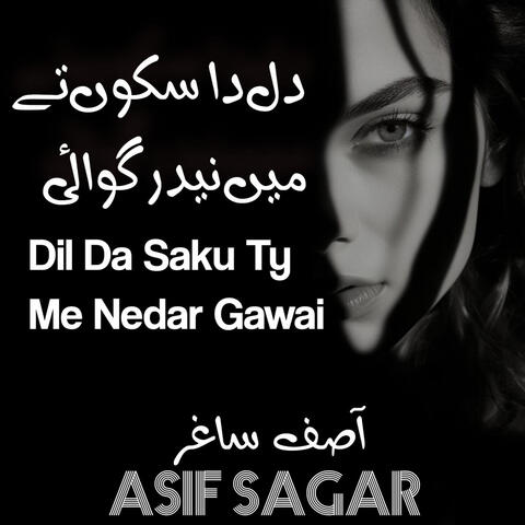 Dil Da Saku Ty Me Nedar Gawai