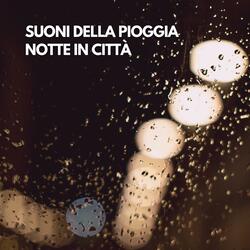 Suoni della Pioggia: Notte in Città (07)