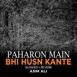 Paharon Main Bhi Husn Kante Lofi
