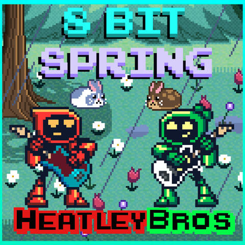 8 Bit Spring