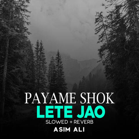 Payame Shok Lete Jao Lofi