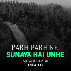 Parh Parh Ke Sunaya Hai Unhe Lofi