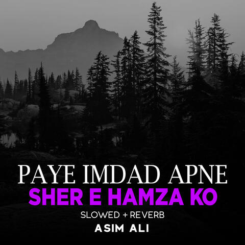 Paye Imdad Apne Sher e Hamza Ko Lofi
