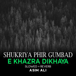 Shukriya Phir Gumbad e Khazra Dikhaya Lofi
