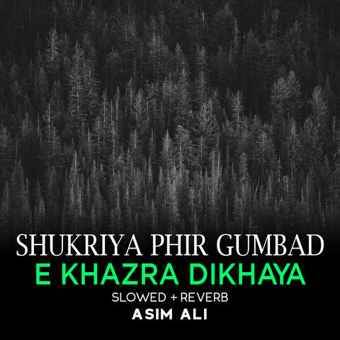 Shukriya Phir Gumbad e Khazra Dikhaya Lofi