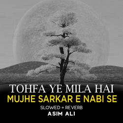 Tohfa Ye Mila Hai Mujhe Sarkar e Nabi Se Lofi