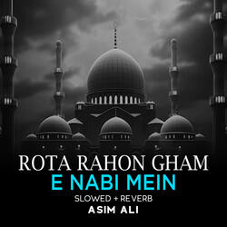 Rota Rahon Gham e Nabi Mein Lofi