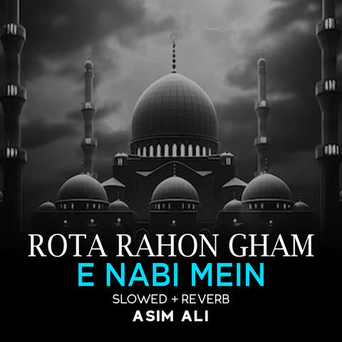 Rota Rahon Gham e Nabi Mein Lofi