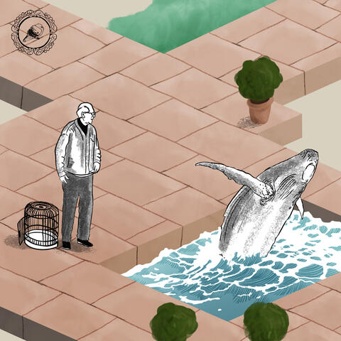 whale encounter