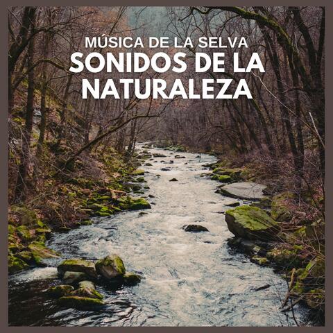 Música de la Selva: Sonidos de la Naturaleza