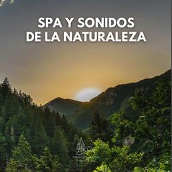Spa y Sonidos de la Naturaleza (12)