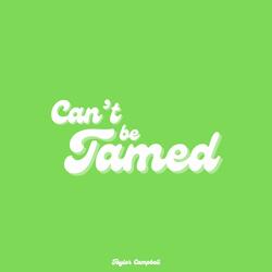 Don't Blame Me