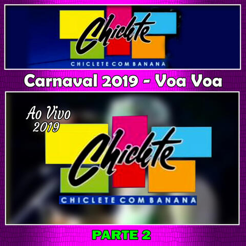 Carnaval 2019 Ao Vivo - Voa Voa PARTE 2