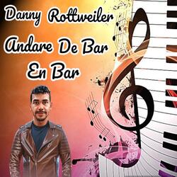 Andare De Bar en Bar (Remix)