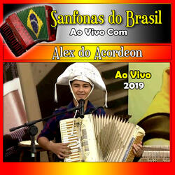 Numa Sala De Reboco - Ao Vivo