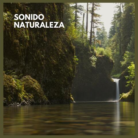 Sonido Naturaleza