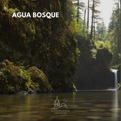 Agua Bosque (27)