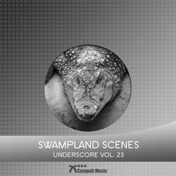 Swampland Hoedown