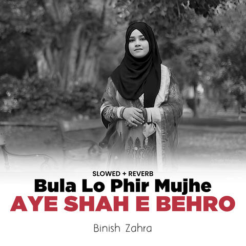 Bula Lo Phir Mujhe Aye Shah e Behro (Lofi-Mix)