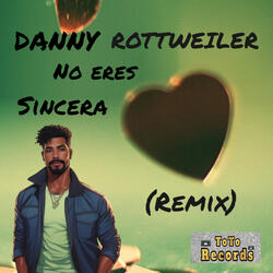 No eres sincera (Remix)