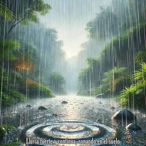 Lluvia fuerte y continua, sonando en el suelo