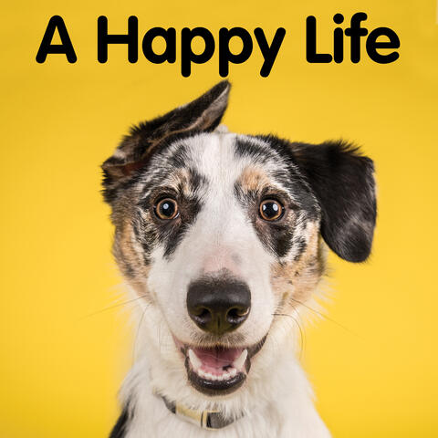 A Happy Life
