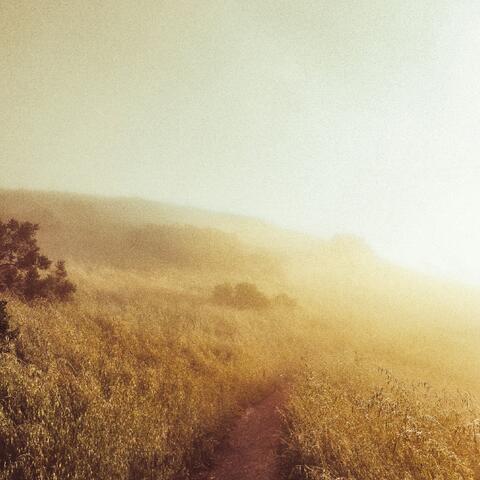 In a Dream