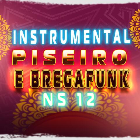 Instrumental Piseiro e Brega Funk Ns 12