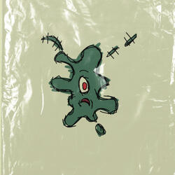 plankton