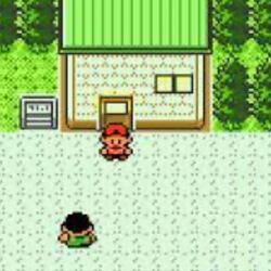 Bug catching contest