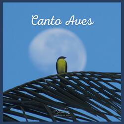 Canto Aves (23)