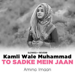 Kamli Wale Muhammad To Sadke Mein Jaan (Lofi-Mix)