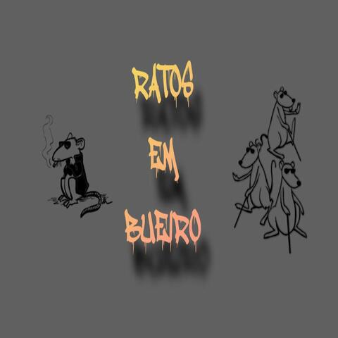 Ratos em bueiro
