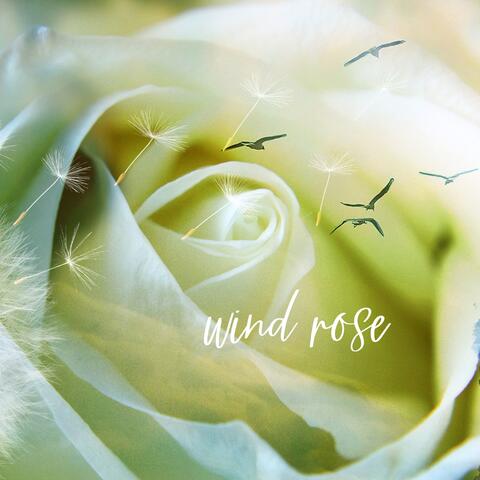 Wind Rose