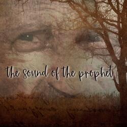 Holy Spirit Meditation