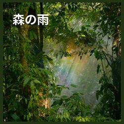 森の雨(06)