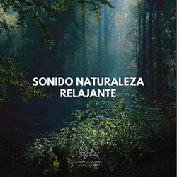Sonido Naturaleza Relajante (30)