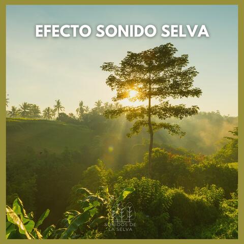 Efecto Sonido Selva
