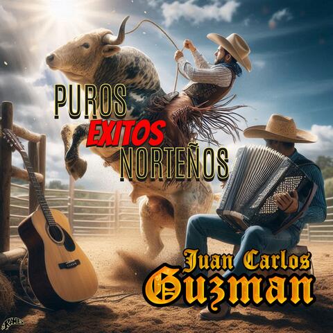 Puros Exitos Norteños