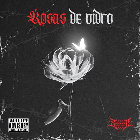 Rosas de vidro