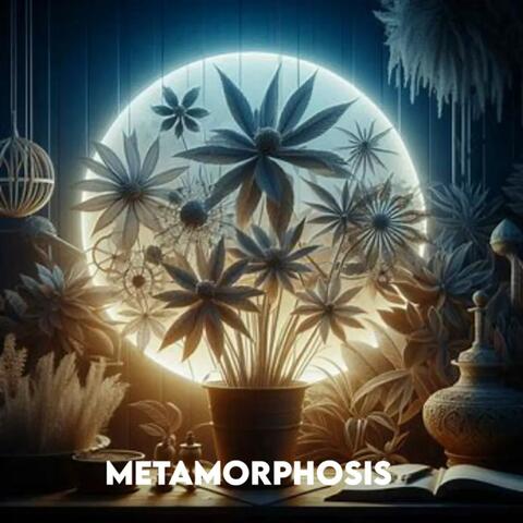 Metamorphosis
