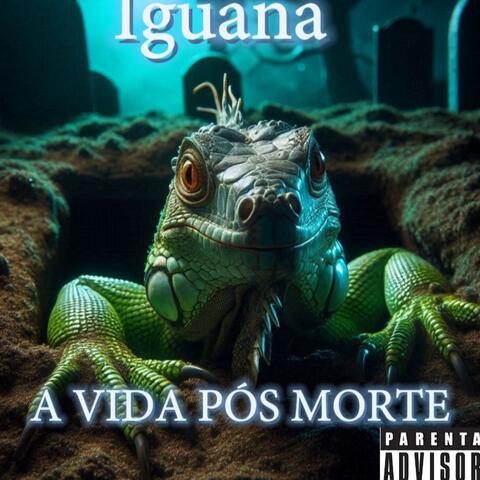 A vida pós morte(old version)