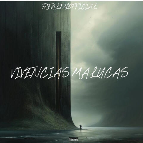 VIVENCIAS MALUCAS