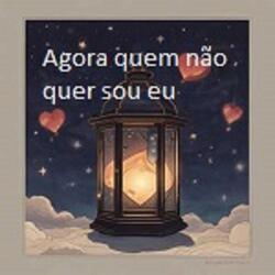 AGORA QUEM NÃO QUER SOU EU