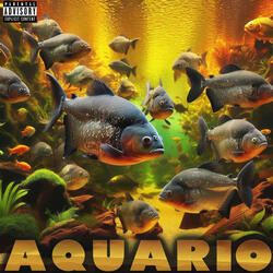 AQUARIO