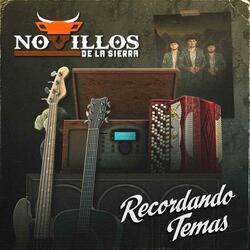 Como Tú Querer